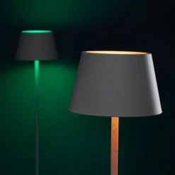 LOOM DESIGN LED oplaadbare vloerlamp Modi, CCT, RGB, wit