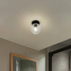 Lucande Badolo plafondlamp, zwart, glas, Ø 15 cm, IP44