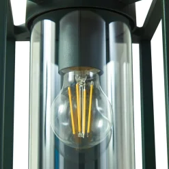 Lucande buitenwandlamp Ferda, sensor, pendel, groen, IP44