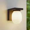 Lucande buitenwandlamp Ovaali, glas, donkergrijs, IP65