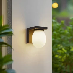 Lucande buitenwandlamp Ovaali, glas, donkergrijs, IP65