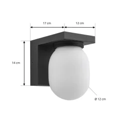 Lucande buitenwandlamp Ovaali, glas, donkergrijs, IP65