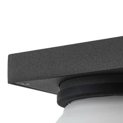 Lucande buitenwandlamp Ovaali, glas, donkergrijs, IP65