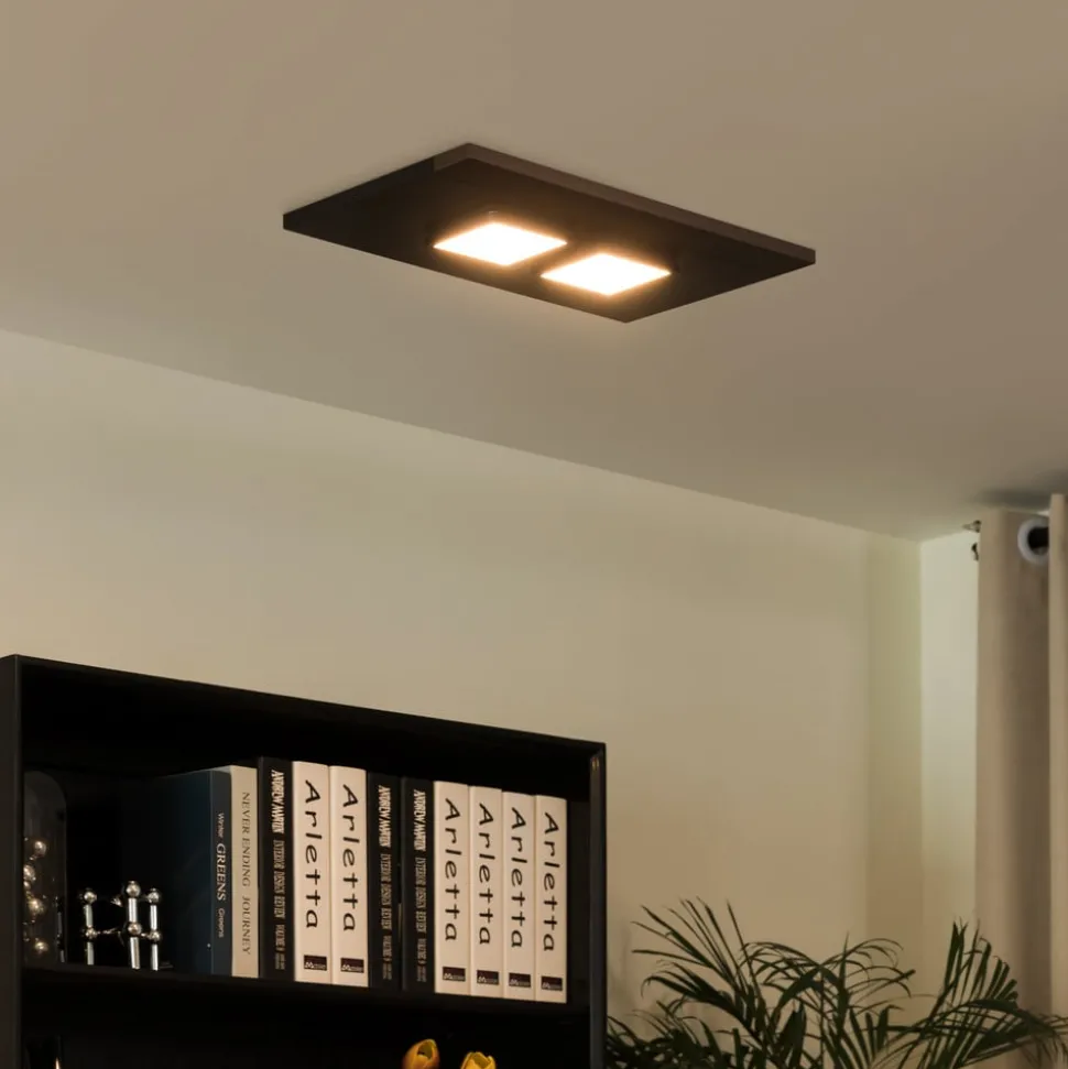 Lucande Esteria plafondlamp, 2-lamps