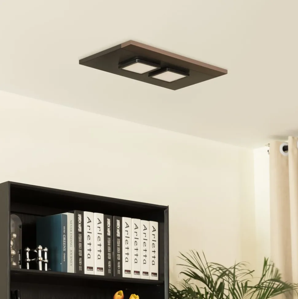 Lucande Esteria plafondlamp, 2-lamps