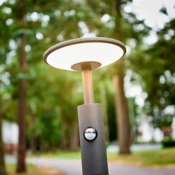 Lucande Fenia LED tuinpadverlichting, 100 cm, sensor, IP54, antraciet