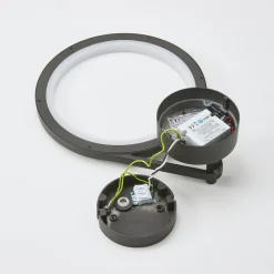 Lucande LED buiten wandlamp Mirco, 30 cm, zwart, IP65