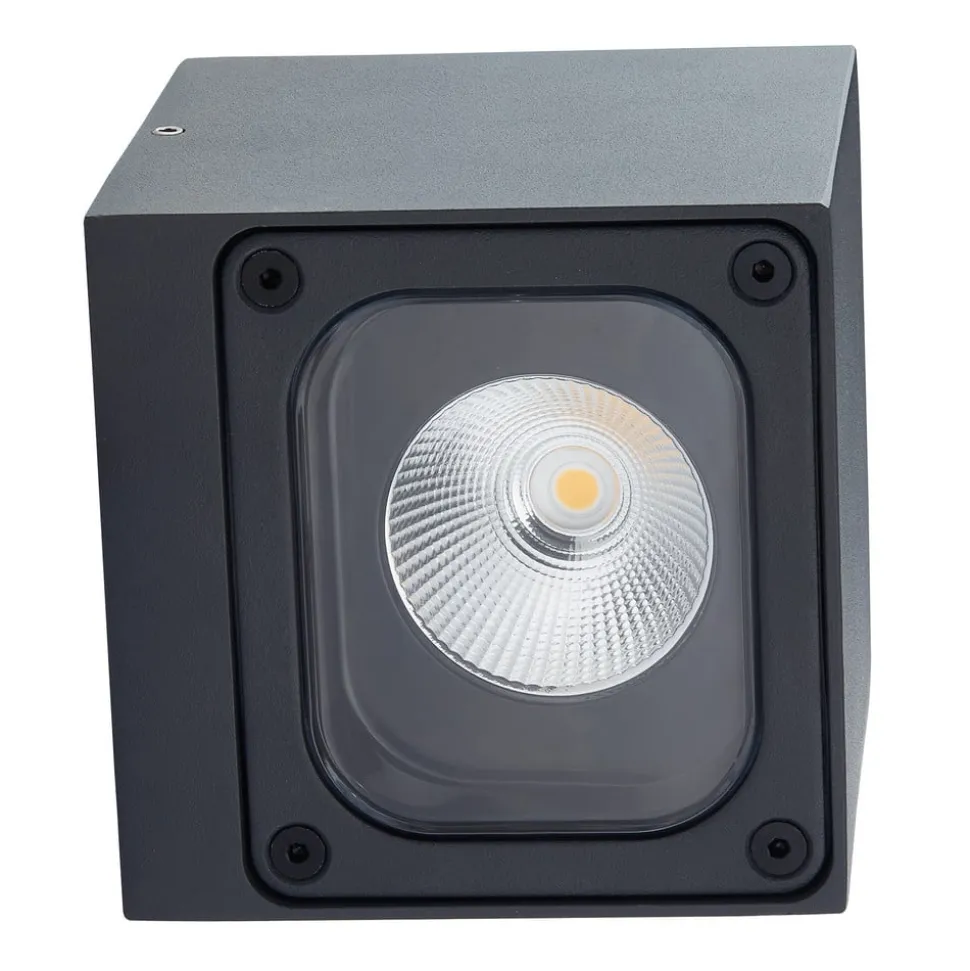 Lucande LED buiten wandlamp Merjem, 10 cm, omhoog/omlaag, IP54