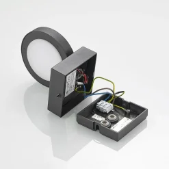 Lucande LED buiten wandlamp Belna, metaal, sensor, IP54