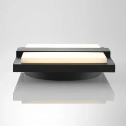 Lucande LED buiten wandlamp Gylfi, 20 cm, antraciet, aluminium
