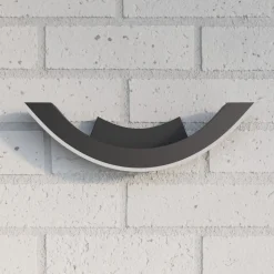 Lucande LED buiten wandlamp Half, 30 cm, antraciet, IP54