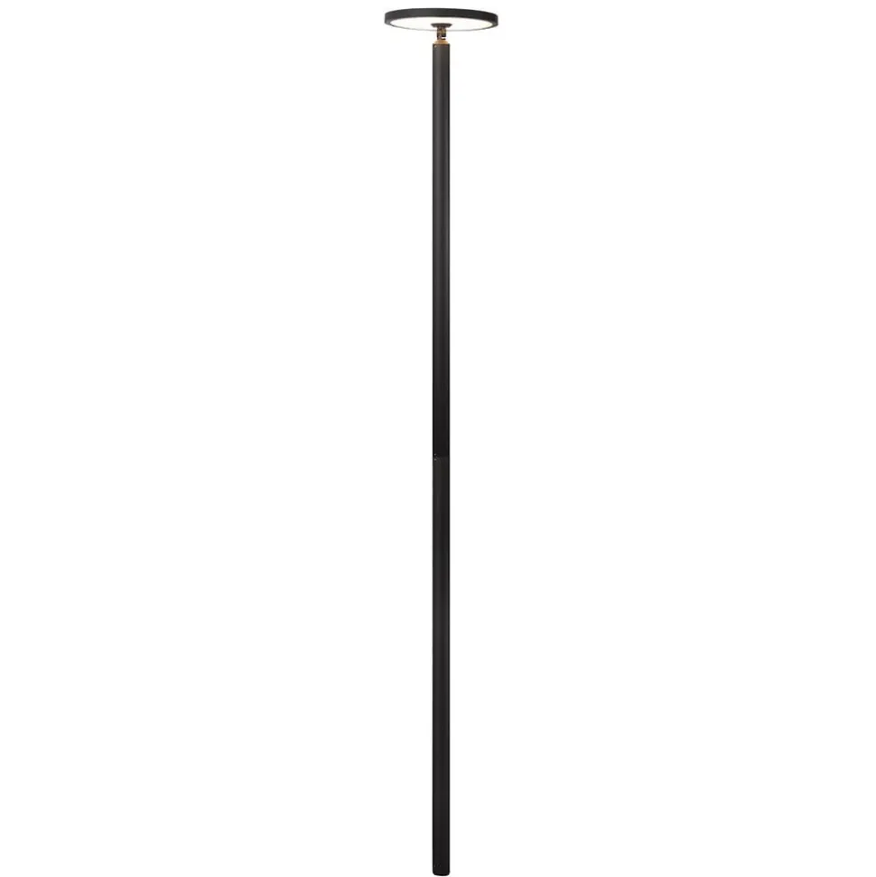 Lucande LED buitenlamp Akito, antraciet, 220 cm, IP54