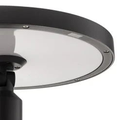 Lucande LED buitenlamp Akito, antraciet, 220 cm, IP54