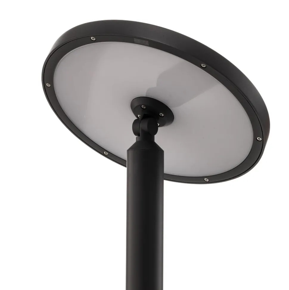 Lucande LED buitenlamp Akito, antraciet, 220 cm, IP54