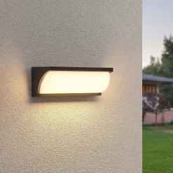 Lucande LED buitenwandlamp