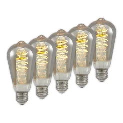 Lucande LED E27 ST64 4W dimbaar titaan per 5