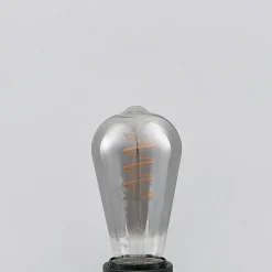 Lucande LED E27 ST64 4W dimbaar titaan per 5