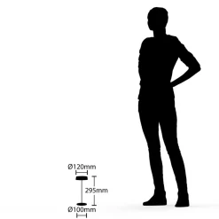Lucande LED oplaadbare tafellamp Tibia, zwart, aluminium, USB, IP54