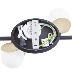 Lucande LED plafondlamp Pallo, 4-lamps, zwart/goud, glas