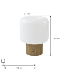 Lucande LED tafellamp Katrin Palm, beige, glas