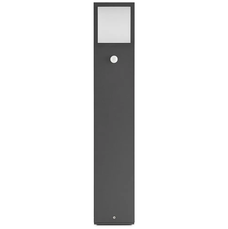 Lucande LED tuinpadverlichting Dewari, bewegingsmelder, 65 cm, IP54