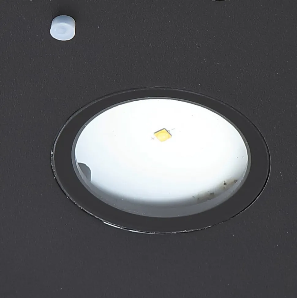 Lucande LED wandlamp Tavon, rond, zwart, sensor