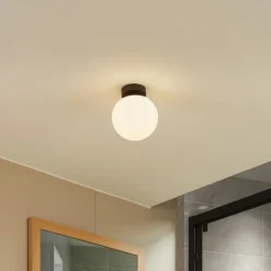 Lucande plafondlamp Bidolo, zwart, glas, Ø 15 cm, IP44