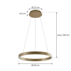 Lucande Smart LED hanglamp Yonam, goud, 1-lamp, Tuya