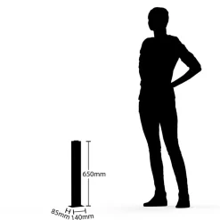 Lucande Virgalia LED tuinpadverlichting, bewegingsmelder, 65 cm, IP54