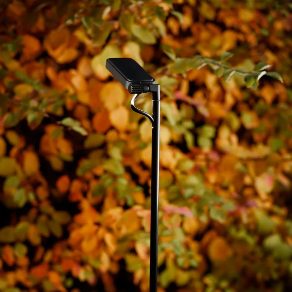 Luceplan Flia tuinpadverlichting, 3-lamps, on/off