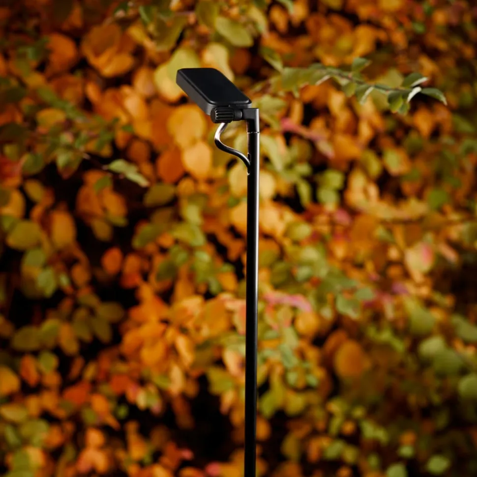 Luceplan Flia tuinpadverlichting 1-lamp, aan/uit, hoogte 180 cm