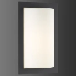 Luis LED buiten wandlamp, grafiet, bewegingsmelder