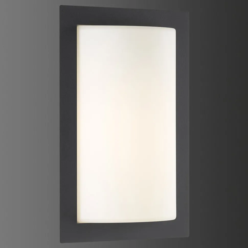 Luis LED buiten wandlamp, grafiet, bewegingsmelder