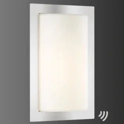 Luis LED buiten wandlamp, roestvrij staal, bewegingsmelder