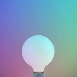 LUUMR Slimme LED lamp mat E27 G125 7W Tuya WLAN CCT