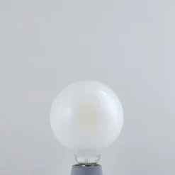 LUUMR Slimme LED lamp mat E27 G125 7W Tuya WLAN CCT