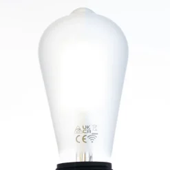 LUUMR Slimme LED lamp mat E27 ST64 7W Tuya WLAN CCT