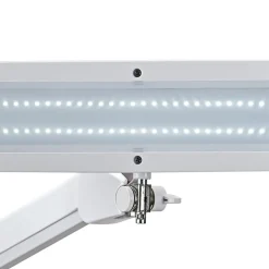 MAULintro LED-werklamp, wit, 52 cm, klemvoet