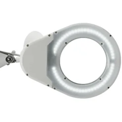 MAULviso LED loeplamp, wit, hoogte 50 cm, klem