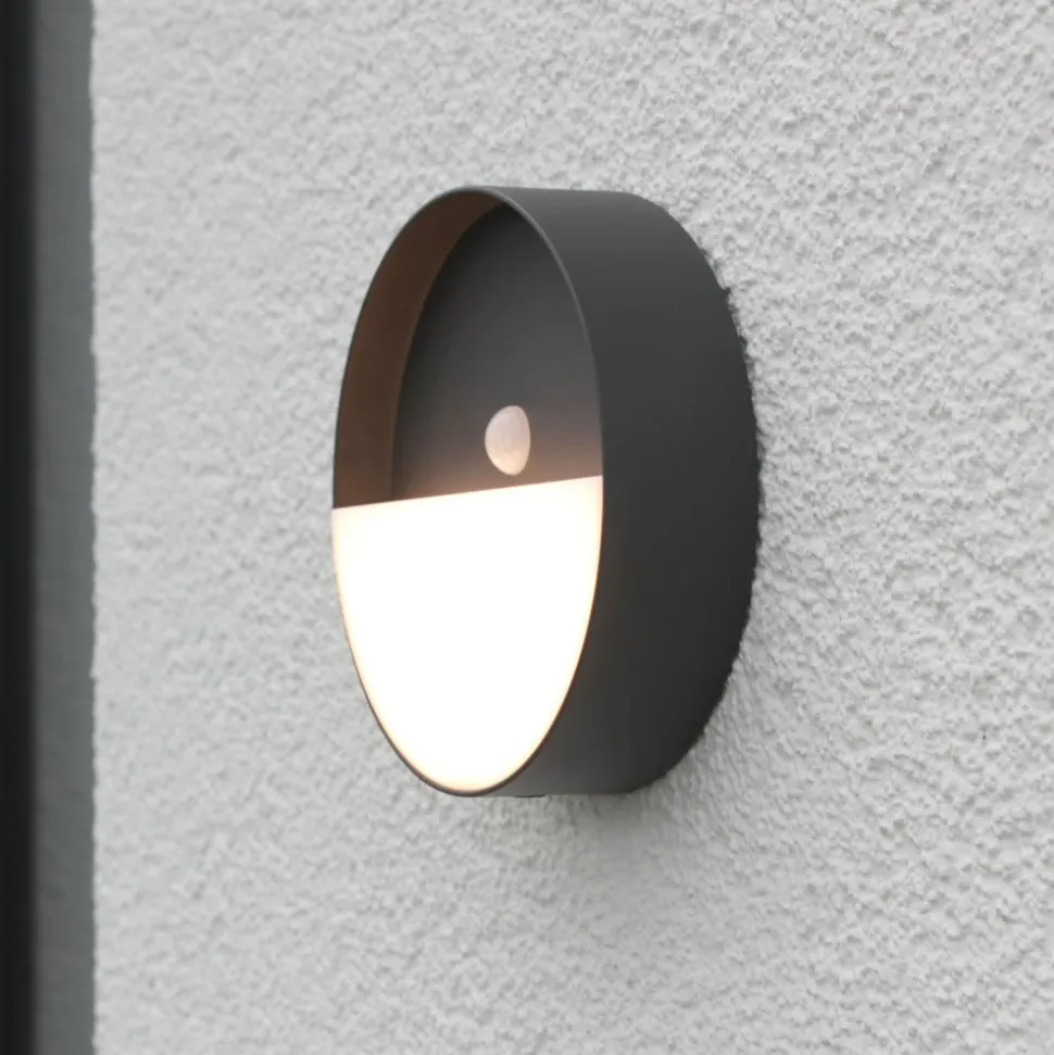 Meg LED buitenwandlamp, antraciet, Ø 15 cm, sensor