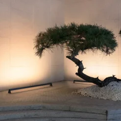 MEGATRON Wallis Gartia buitenspot LED, 15W, 827