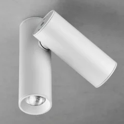 Milan Haul LED plafondlamp 2-lamps, wit