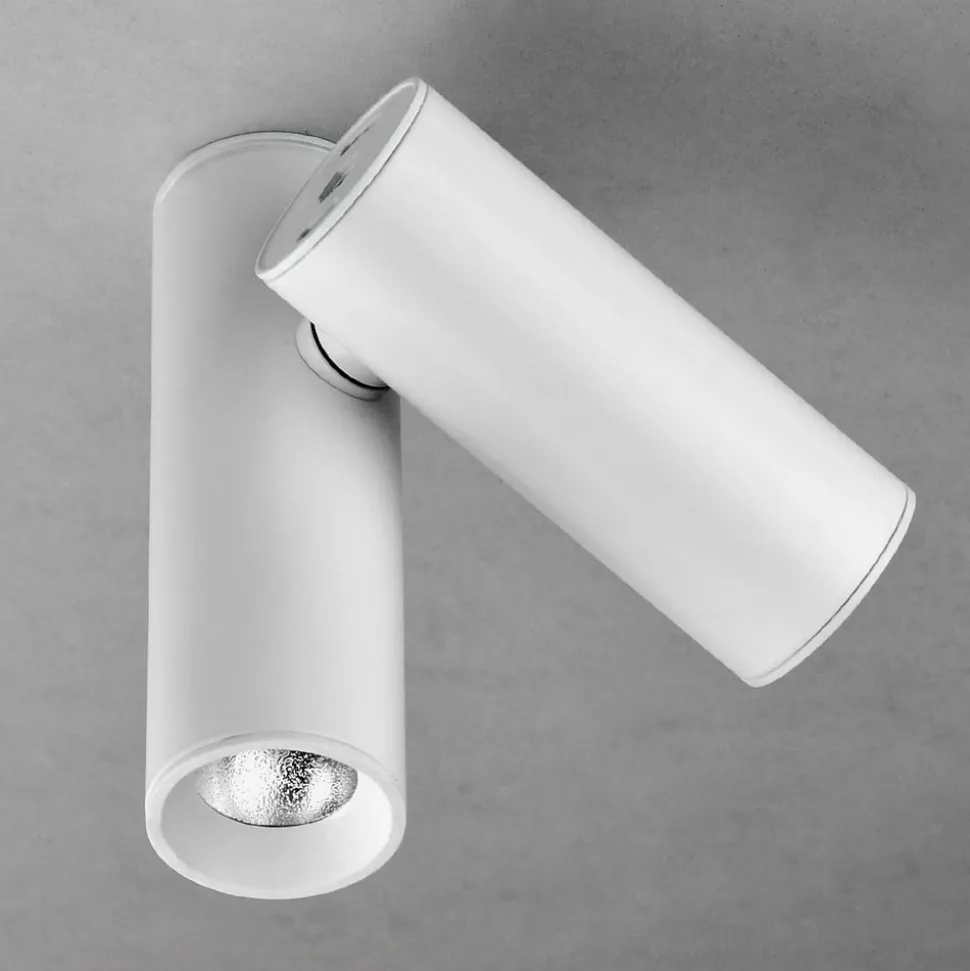 Milan Haul LED plafondlamp 2-lamps, wit