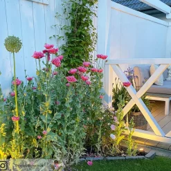 Müller Licht tint buitenspot Flores, set van 3