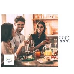 Müller Licht tint Calluna LED lichtkogel IP44