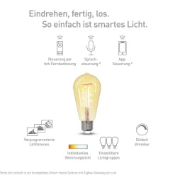 Müller licht tint LED lamp Retro Gold E27 5,5W