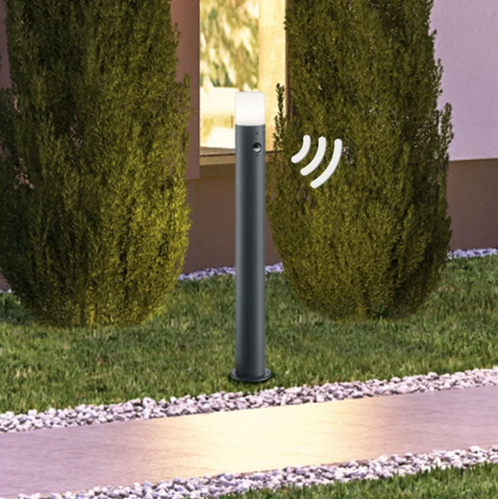 Moderne tuinpadverlichting Hoosic m bewegingsmeld