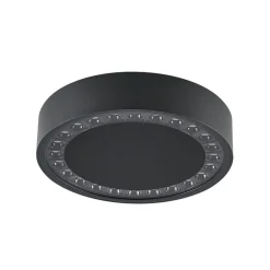 Molto Luce LED buiten plafondlamp Nona, Ø 22,8 cm, antraciet