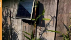 Moze LED solar wandlamp, verstelbaar met sensor