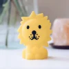 Mr Maria Lion nachtlampje bundel of Light, 12,6 cm